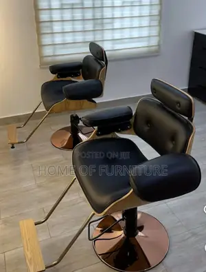Quality Imported Salon Chair – Professional Beauty Salon Styling Chair