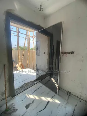 Mirror Face Water Resistant Material Pivot Door