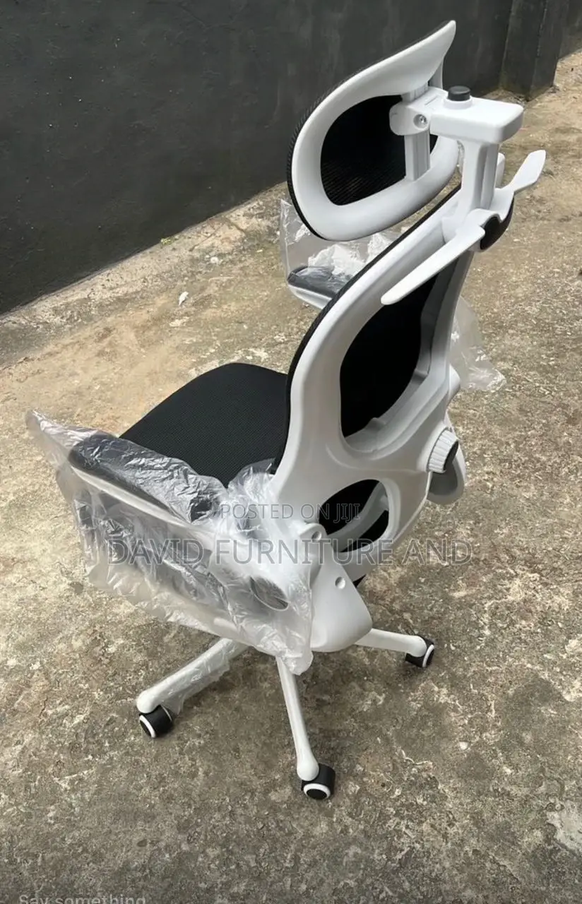 Ergonomic Mesh Chair