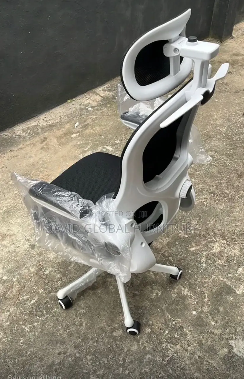 Ergonomic Mesh Chair