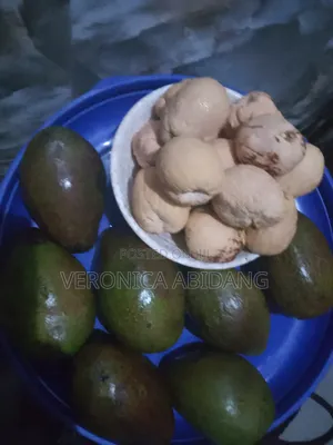 Avocado Seed Powder