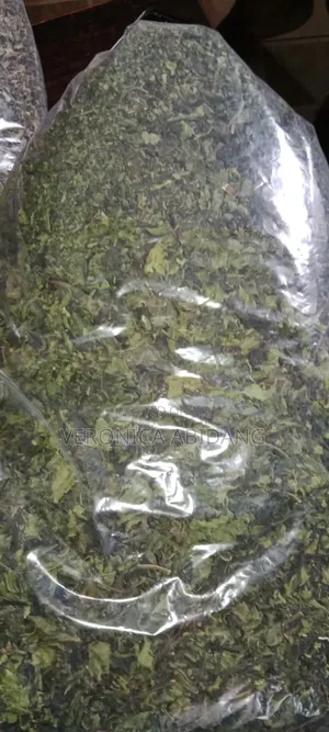 Dried Scent Leaf