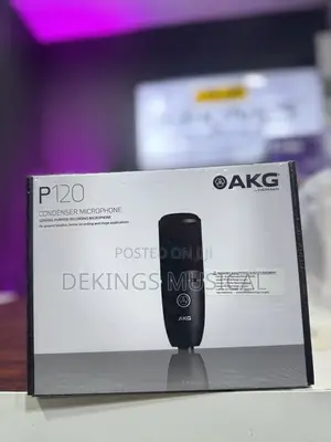 Akg P120 Studio Recording Condenser Microphone
