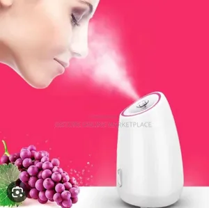 Maoer Face Steamer