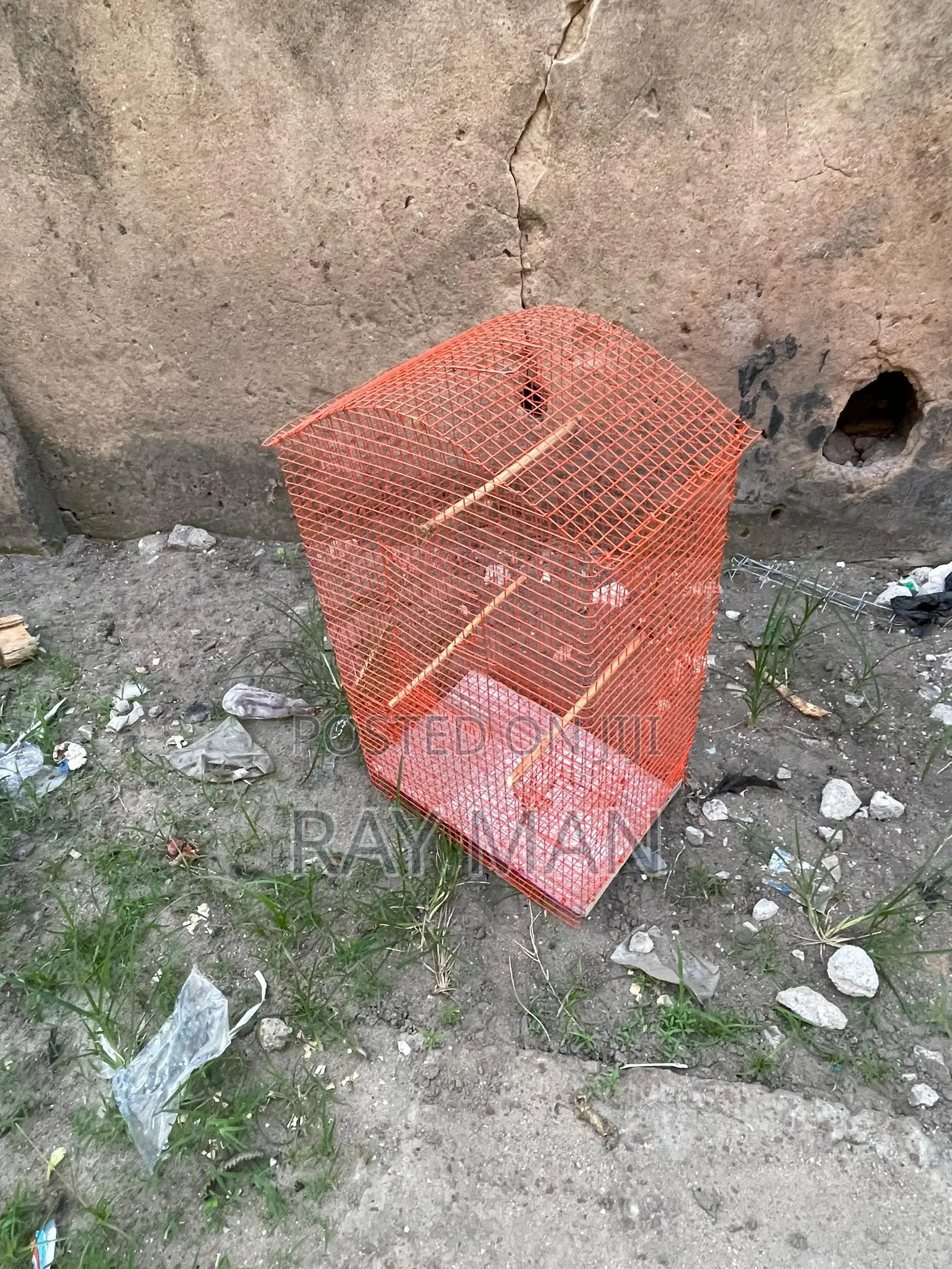 Standard Parrot Cages