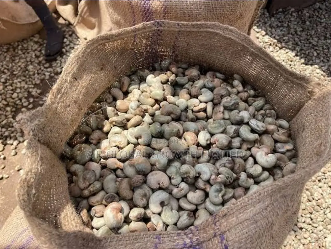 Cashew Nuts