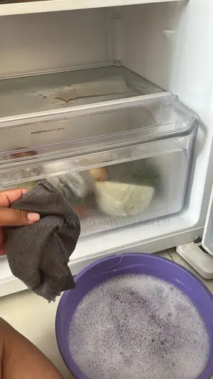“Professional Deep Cleaning Service for Apartments New Buildings”
