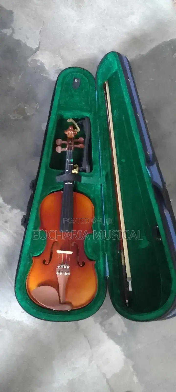 Strong Sound Violin With Full Accessories