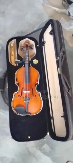 Neat Classical Violin – Perfect for Students