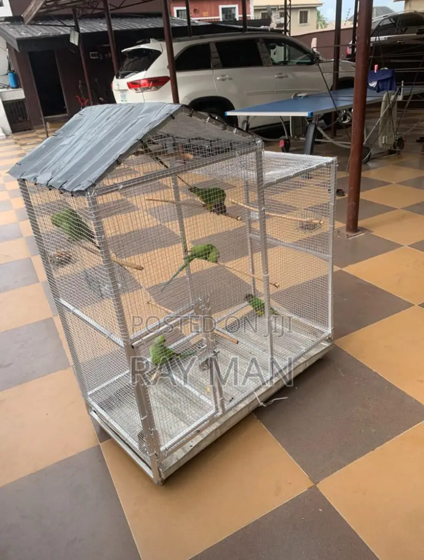Large Parrot Cages/Aviary