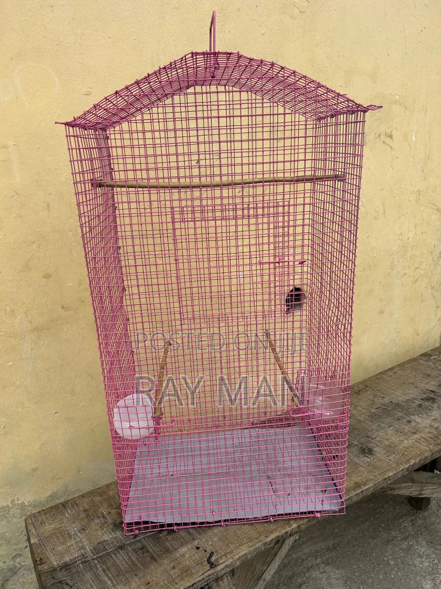 Standard Parrot Cages