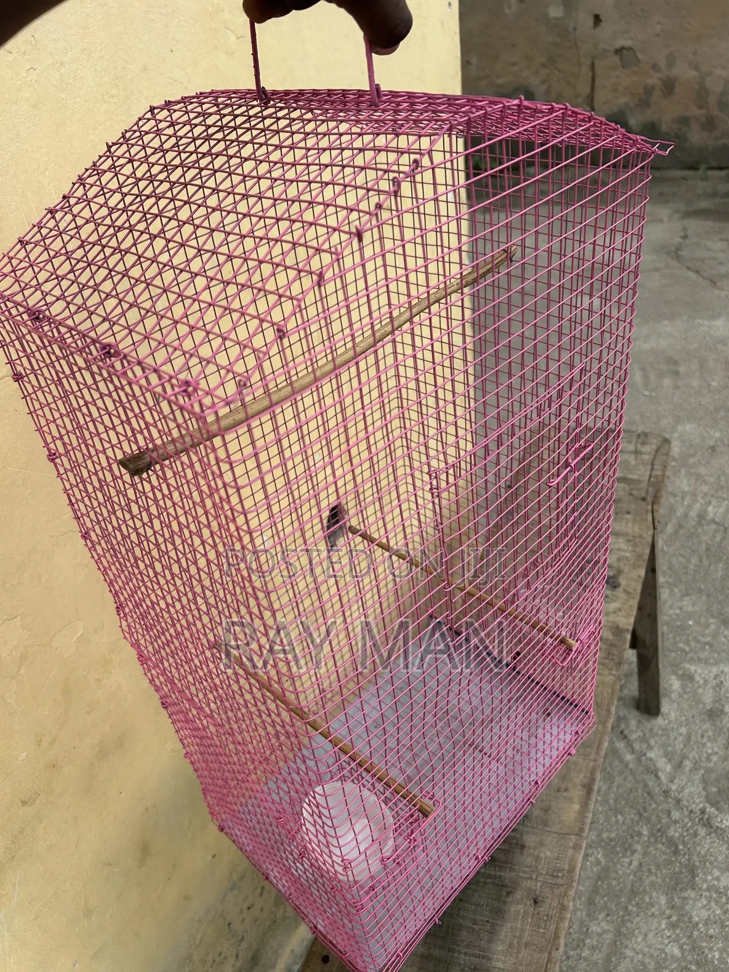 Standard Parrot Cages