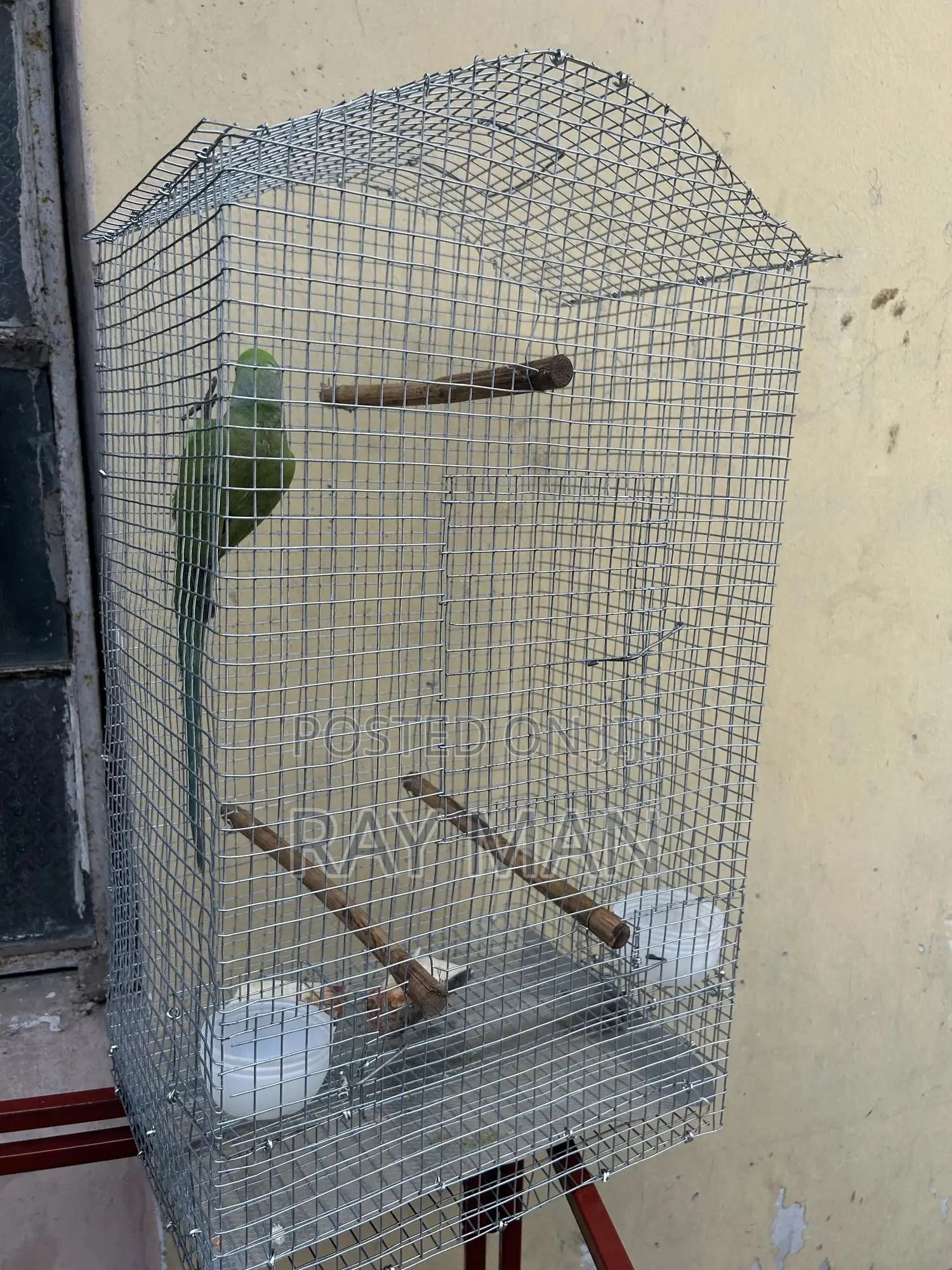 Standard Parrot Cages