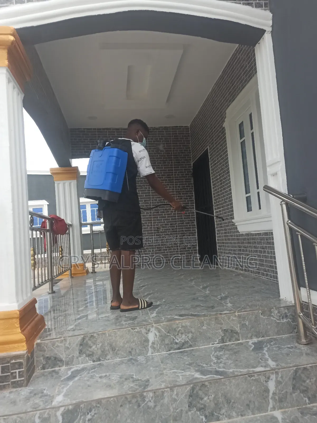 Fumigation and Pest Control Services