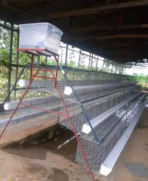 Adeowo Battery Cages