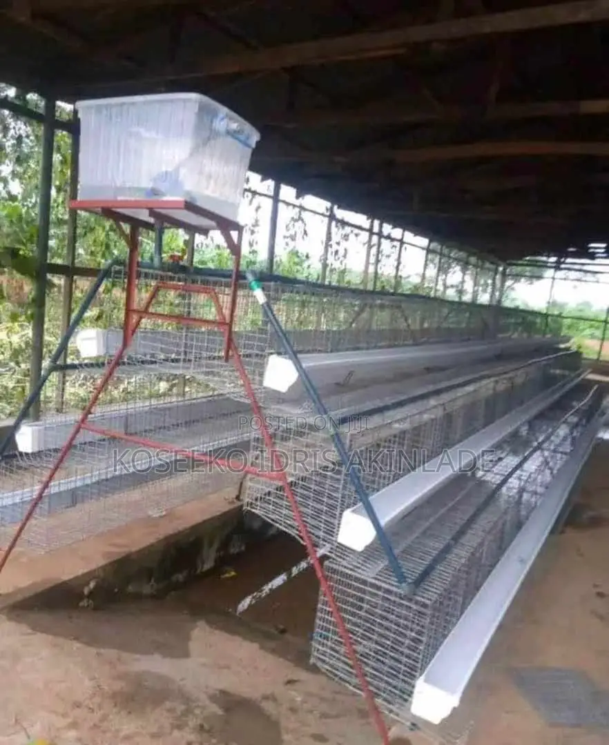 Adeowo Battery Cages