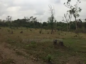 Agricultural Farmland