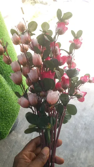 Lilly Flower