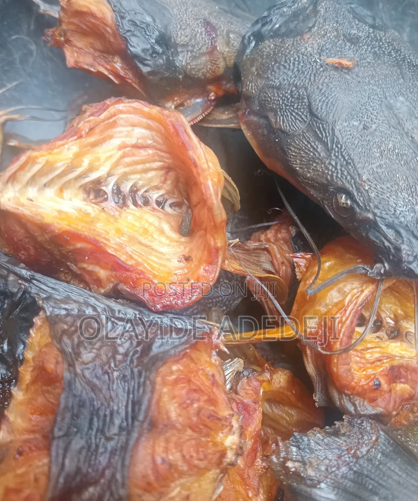 Dried Catfish