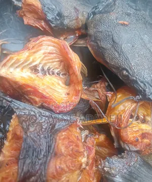 Dried Catfish