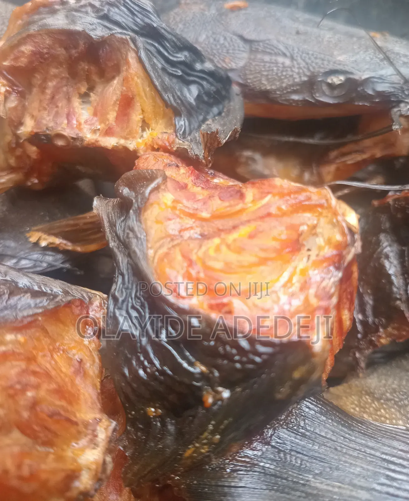 Dried Catfish
