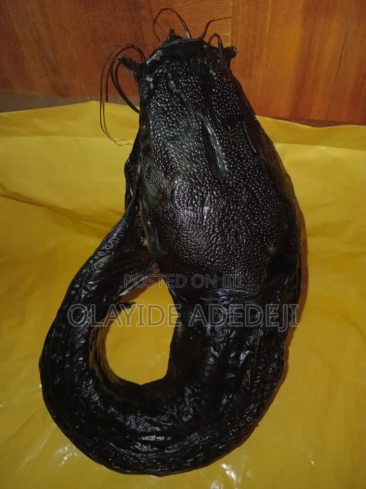 Dried Catfish