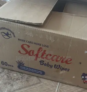 Software Wipe 60pc