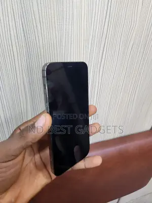 Apple iPhone 12 Pro 128 GB Gray