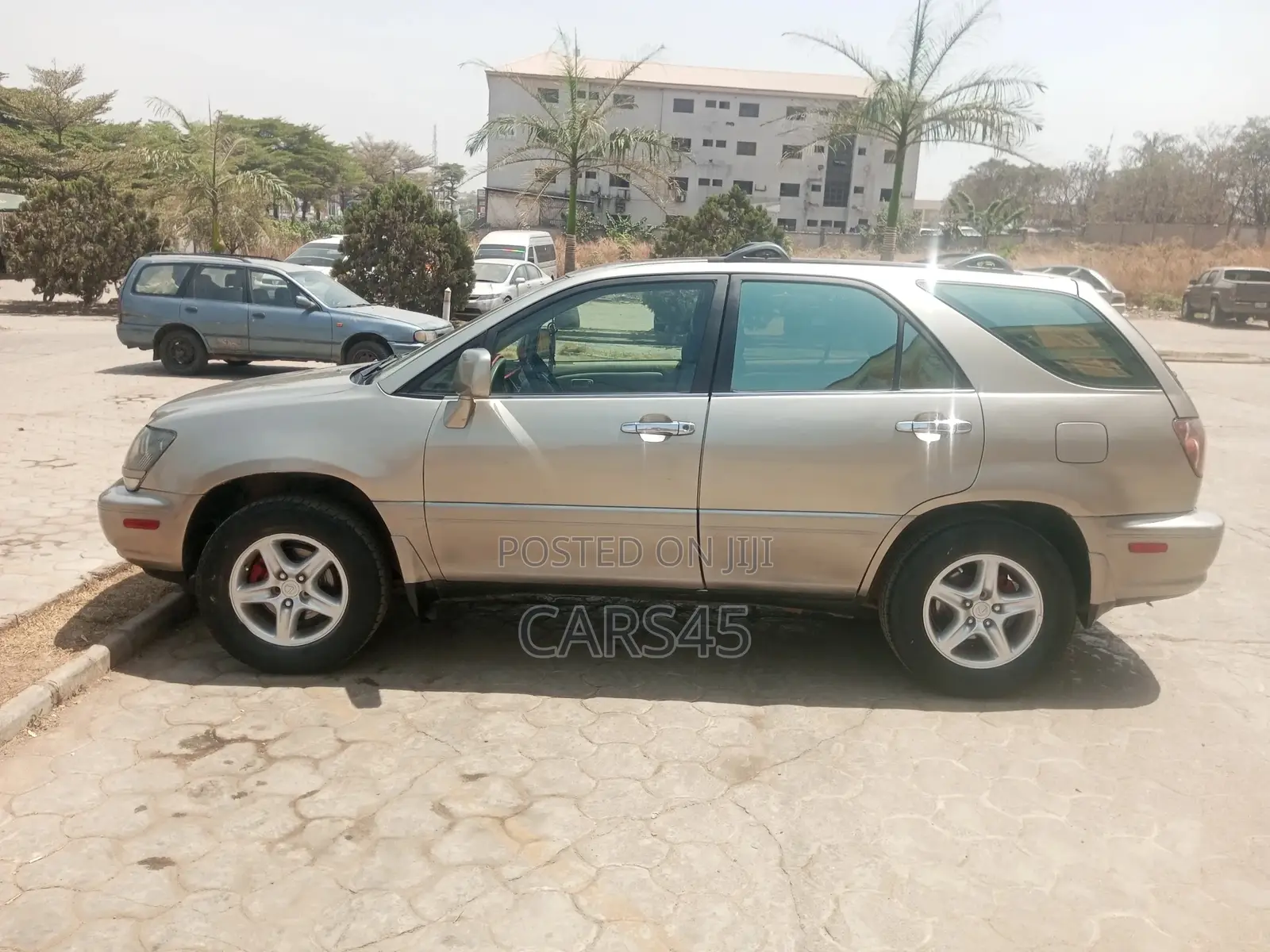 Lexus RX 300 1999 Gray