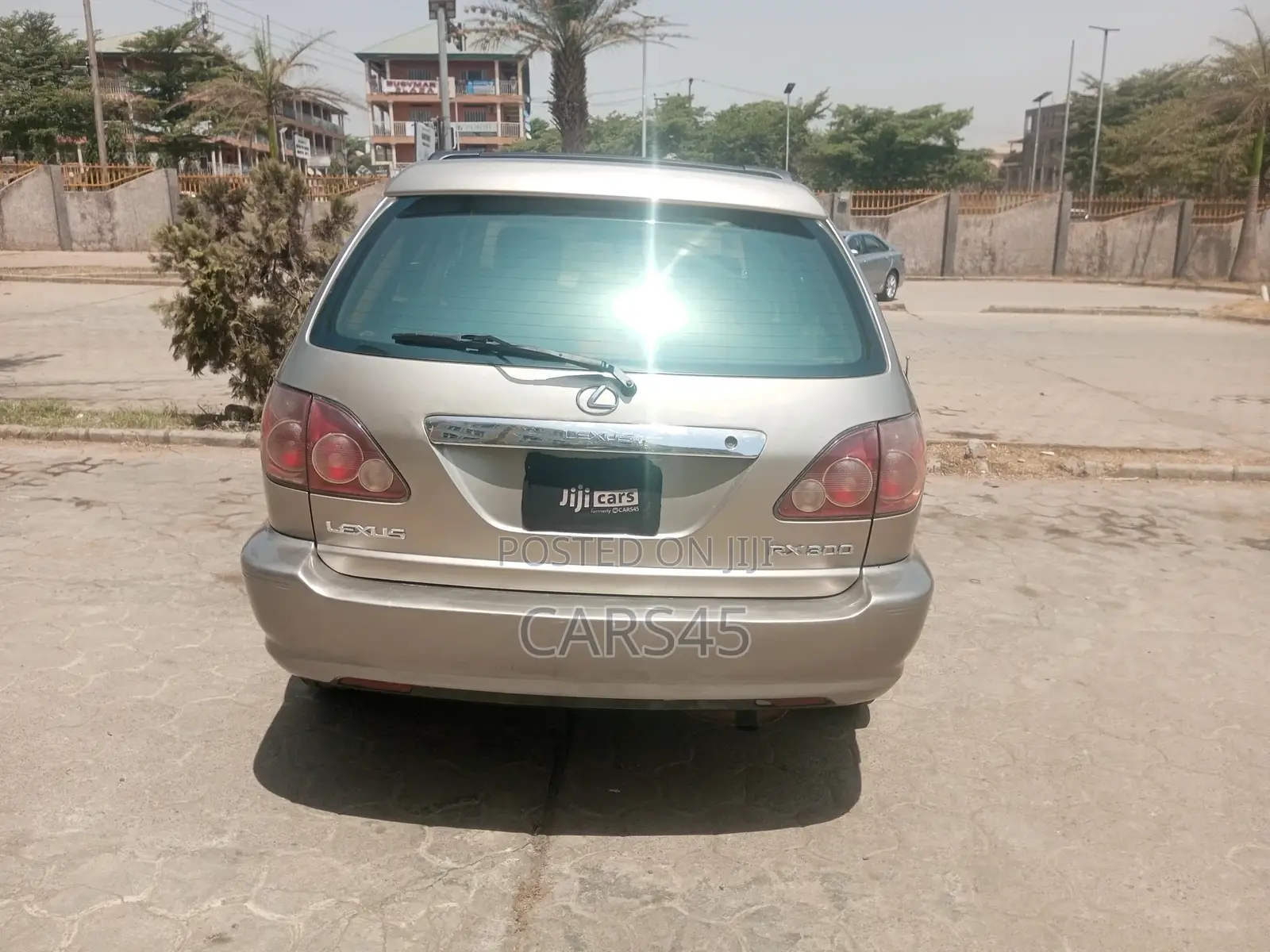 Lexus RX 300 1999 Gray
