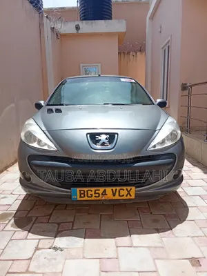 Peugeot 206 2009 Gray
