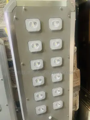 Felicity D2 Solar Street Light 100w