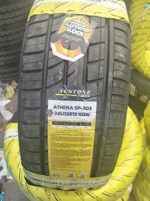 245/55r19 Ausone