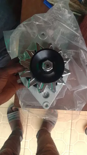 Change Alternator Any Kind Of Generator