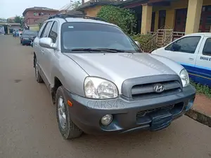 Hyundai Santa Fe 2005 Silver
