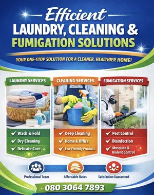 Efficient Laundry, Cleaning Fumigation Solutions