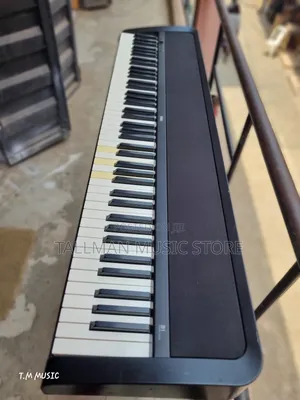 Korg B1 Piano