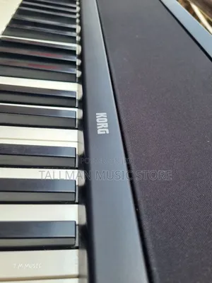 Korg B1 Piano