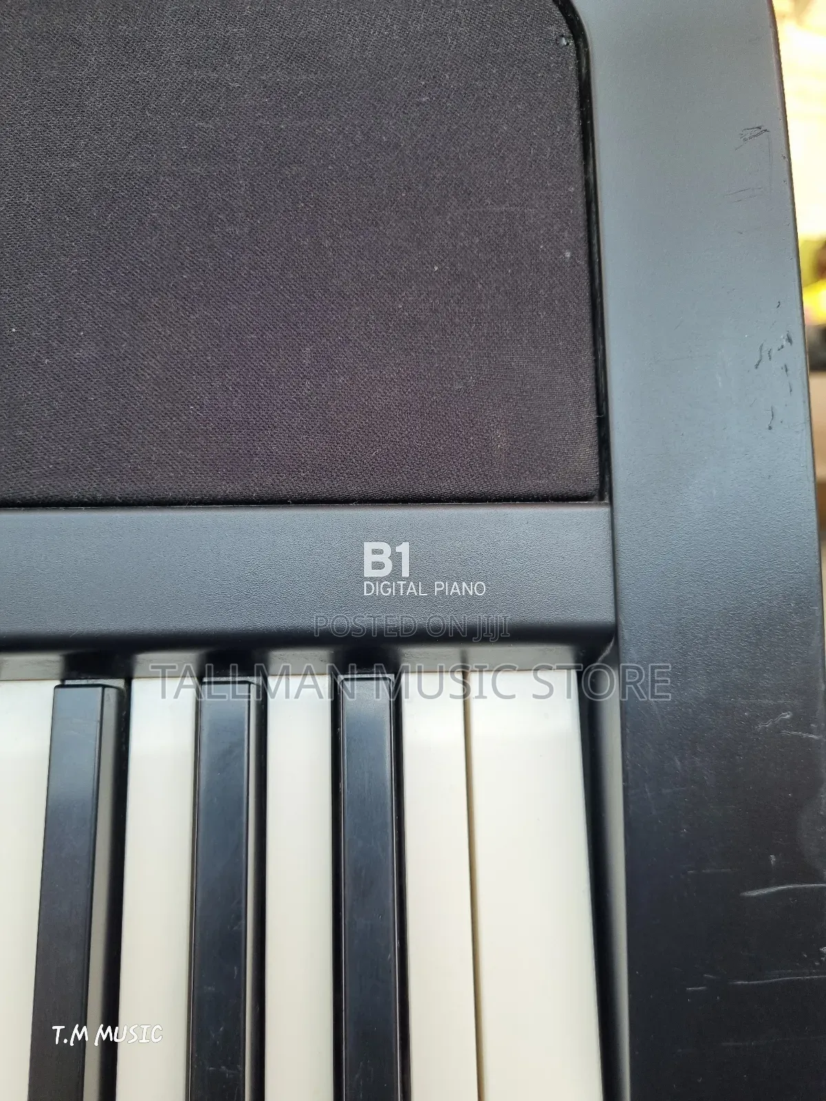 Korg B1 Piano