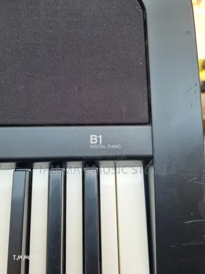 Korg B1 Piano