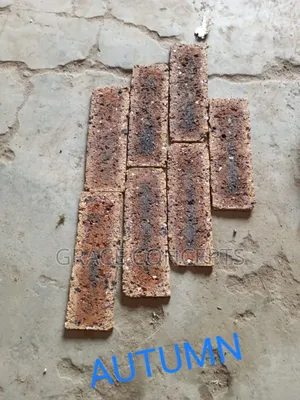 South African Bricks