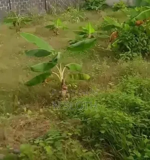 Land for Sale (60 Plots)