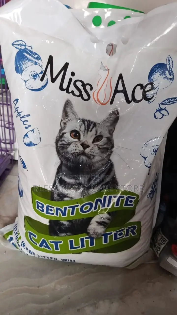 Pet Store for Dog and Cat