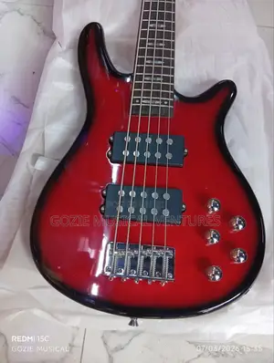 Wellsound Passive Five String Bass Guitar