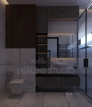 Toilet Upgrade