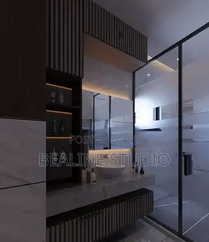 Toilet Upgrade