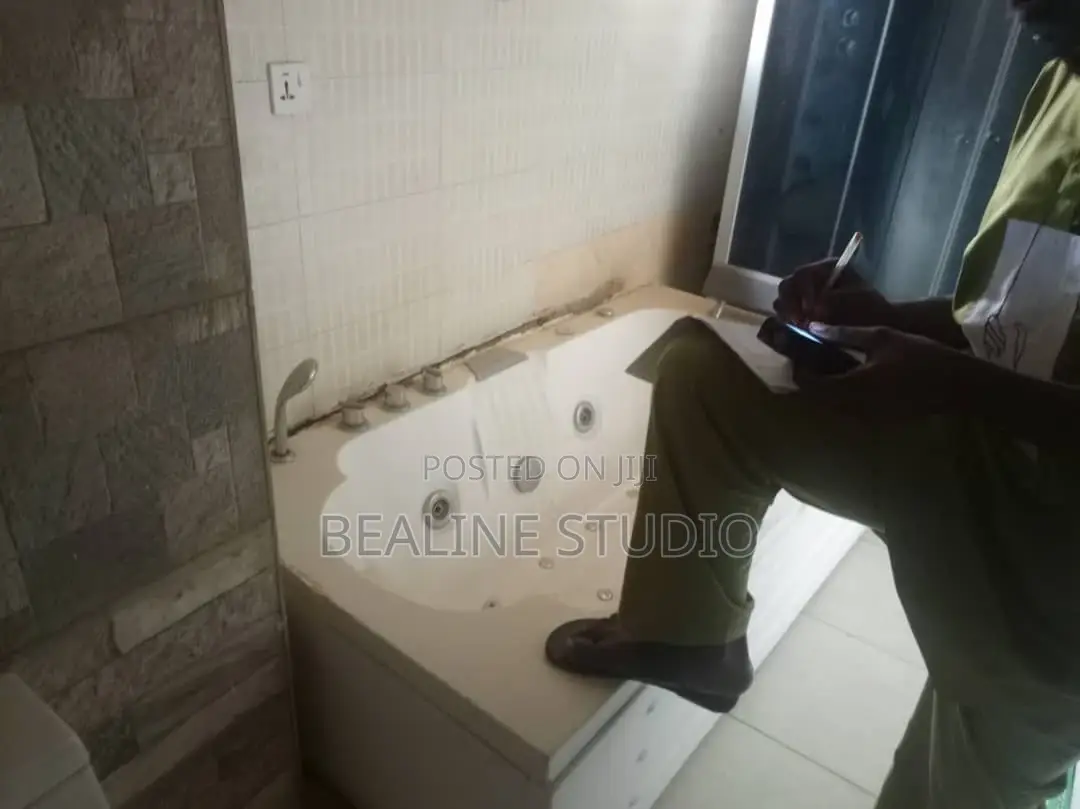 Toilet Upgrade