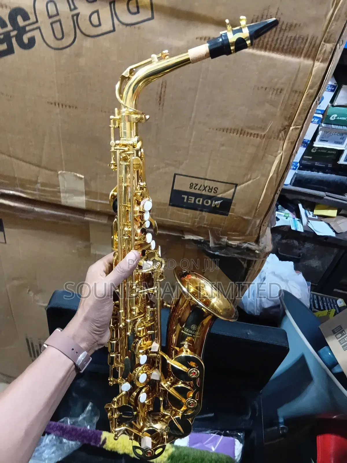 Professional Alto Saxophone Gold