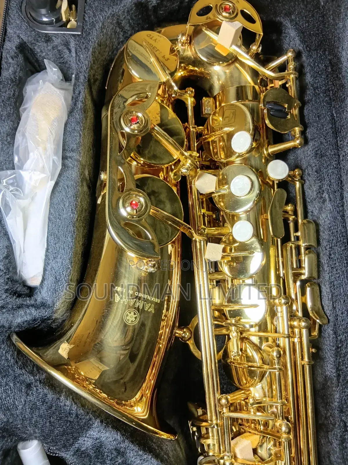 Professional Alto Saxophone Gold