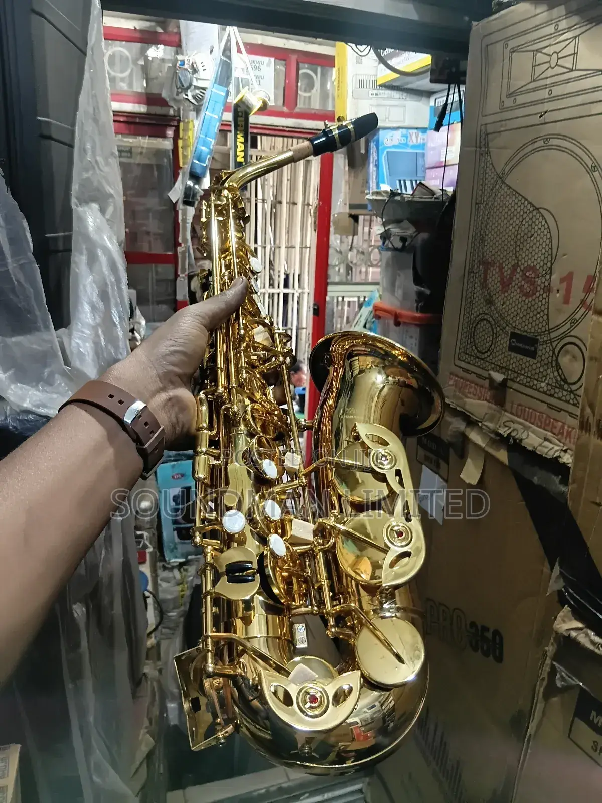 Professional Alto Saxophone Gold